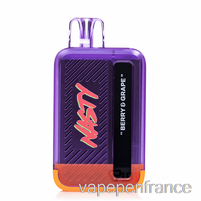 Nasty Bar Dx8.5i 8500 Stylo Vape Jetable Aux Baies Et Aux Raisins